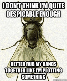 Fly logic