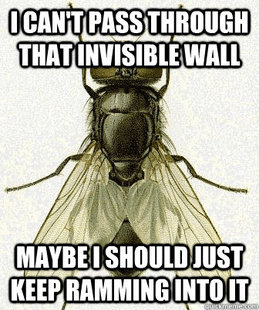Fly logic