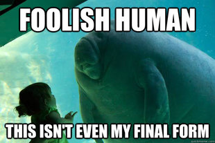 Overlord Manatee