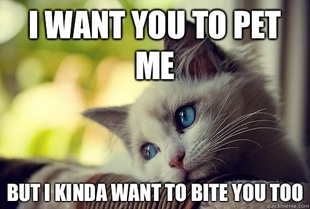First World Cat Problems