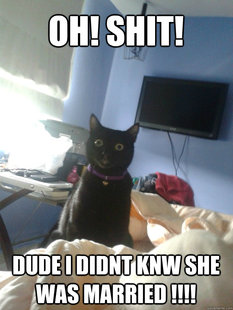 overly attached cat