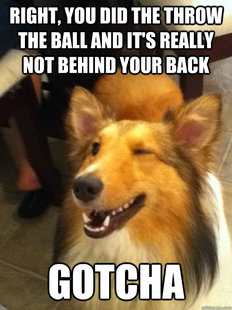 implying dog