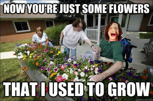 Gotye