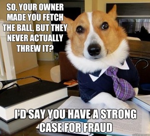 Lawyer Dog