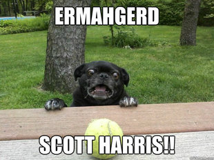 Berks Dog
