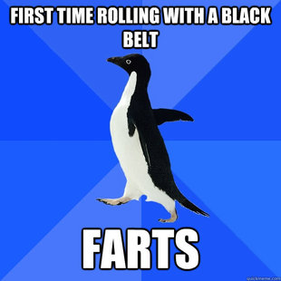Socially Awkward Penguin