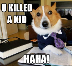 Lawyer Dog