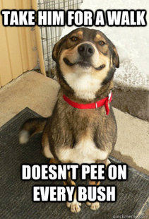Good Dog Greg