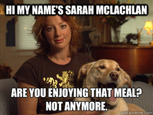 Sarah Mclachlan