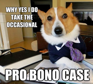 Lawyer Dog