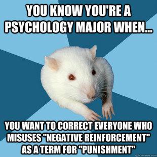 Psychology Major Rat