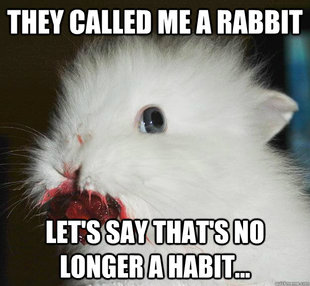 Murder bunny