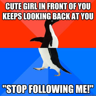Socially Awesome Awkward Penguin