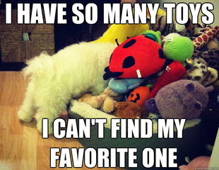 First World Dog Problems