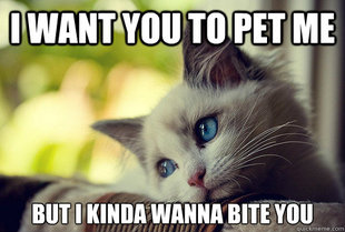 First World Problems Cat