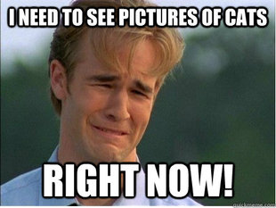 1990s Problems