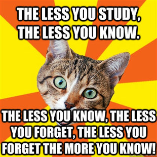 Bad Advice Cat