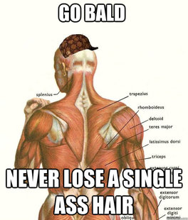 Scumbag Body