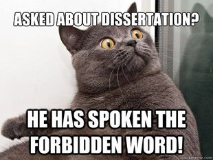 conspiracy cat