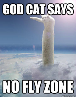 godcat