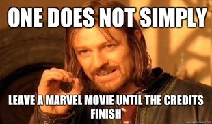 Lord of The Rings meme