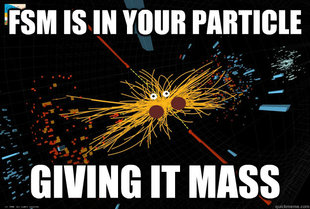higgs  boson fsm