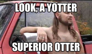 Almost Politically Correct Redneck