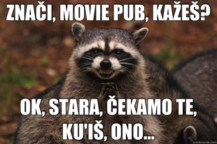 Evil Plotting Raccoon