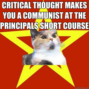 Lenin Cat