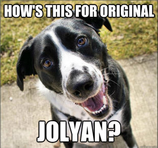 Stare Dog