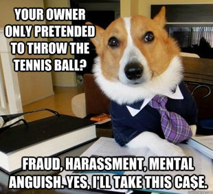 Lawyer Dog