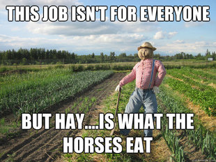 Scarecrow