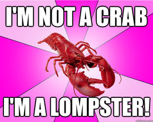 Long-term relationship Lobster