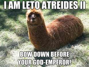 Alpacapillar