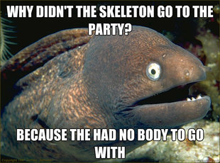 Bad Joke Eel