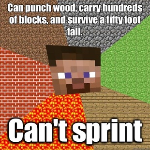 Minecraft