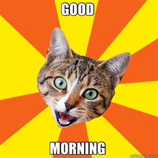 Bad Advice Cat