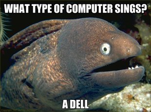 Bad Joke Eel