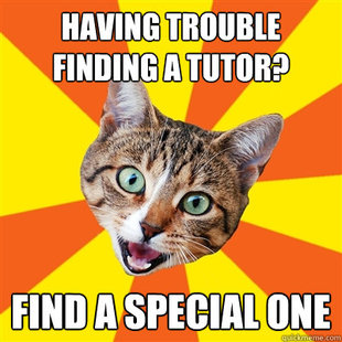 Bad Advice Cat