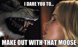 Make Out With That Moose