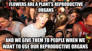 Sudden Clarity Clarence
