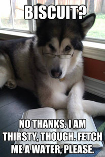 Condescending Literary Pun Dog