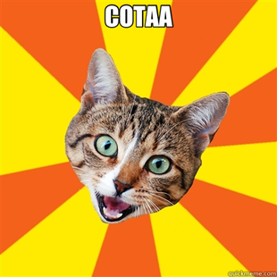 Bad Advice Cat