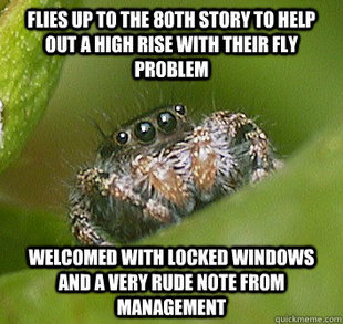 Misunderstood Spider