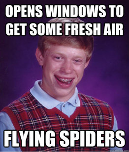 Bad Luck Brian