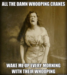 1890s Problems