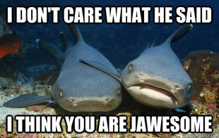 Compassionate Shark Friend