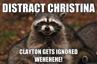 Evil Plotting Raccoon