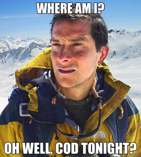 Bear Grylls