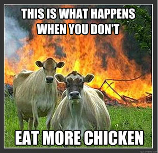 Evil cows